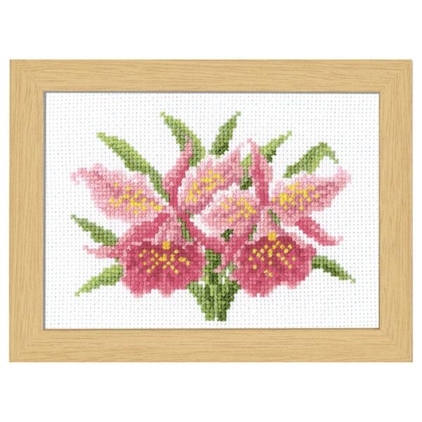 hJ 12̉ԃt[ }[EJg[kRNV 1 JgA | NXXeb` Lbg IpX t[t