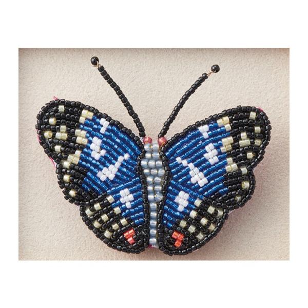 g[z[ r[YhJō u[`Lbg IITLbƐÃ`[t YMK-5