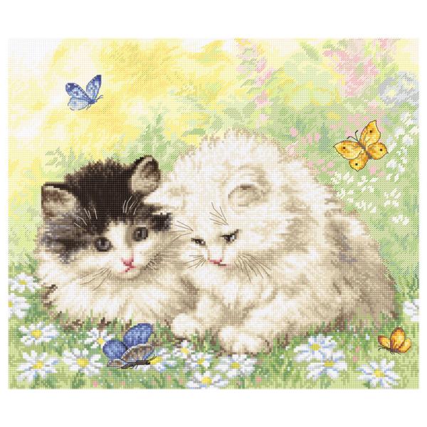 hJ LETISTITCH Summer play time ĂVԎqLb954 ALbg L ˂ 傤 킢 lC ~hJ