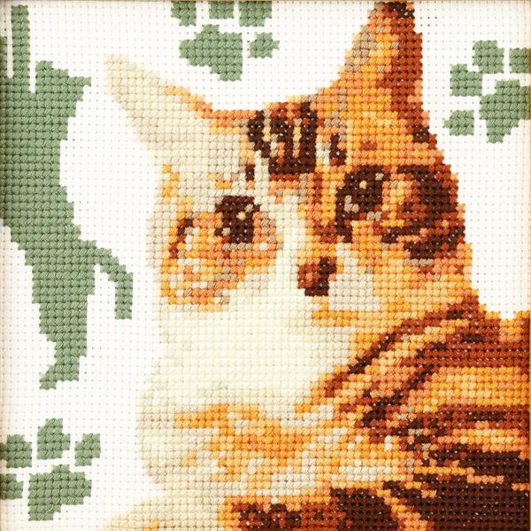 IpX NXXeb`Lbg 킢Aj} lR(AJEV[gwA[)7549 hイLbg | NXXeb`  L ˂ hJLbg