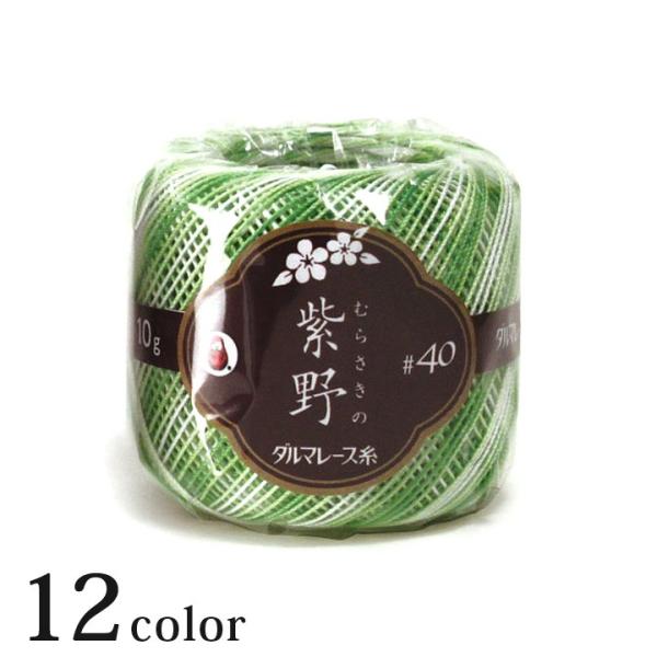 _} 40쁃10gbDARUMA [X [X ݂