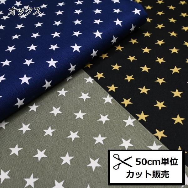 IbNX vg n (50P)  HSK650-1 X^[ \[CO nhCh