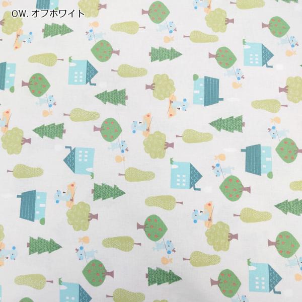 ȖLoX vg n (50P) jR̉ PTMF-123OW ItzCg z Rbg l  nEX  S nhCh