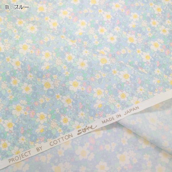 u[h vg n (50P) XCZ KTS6709-B u[  t[ ԕ  100 Rbg΂₵  nhCh EFA[ 