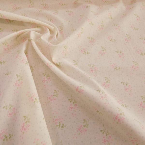 YUWA V[eBO n (50P) 826652-D ԕ z  t[ nhCh L֏X