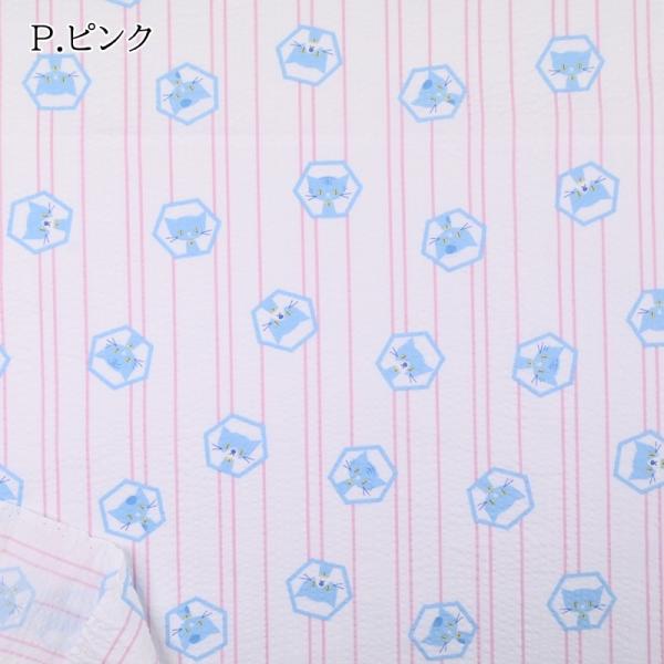 bv vg n (50P) ECB-48P sN Zp˂ L lR z ǂ̂ ItzCg  r pW} nhCh