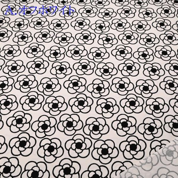 IbNX vg n (50P) A3388-5A ItzCg JA  ݃J[ z obO |[` nhCh