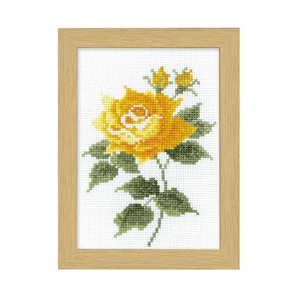 IpX NXXeb` Lbg 12̉ԃt[ 10 CG[[Y No.7517 ؐt[t hJLbg nhCh