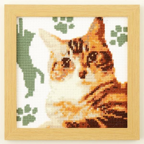 IpX NXXeb` Lbg 킢Aj} lR AJEV[gwA No.7549 hJLbg |Lbg ĂÂ nhCh