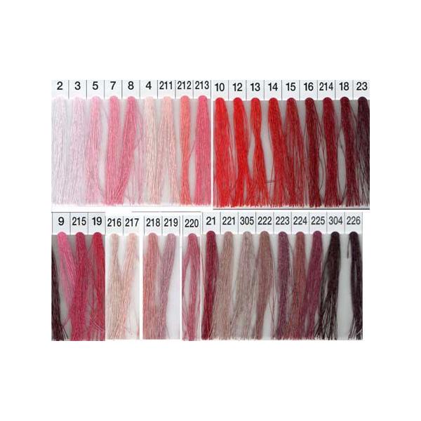 VbyXp D 50 Ԍn D \[CO pb`[N nhCh