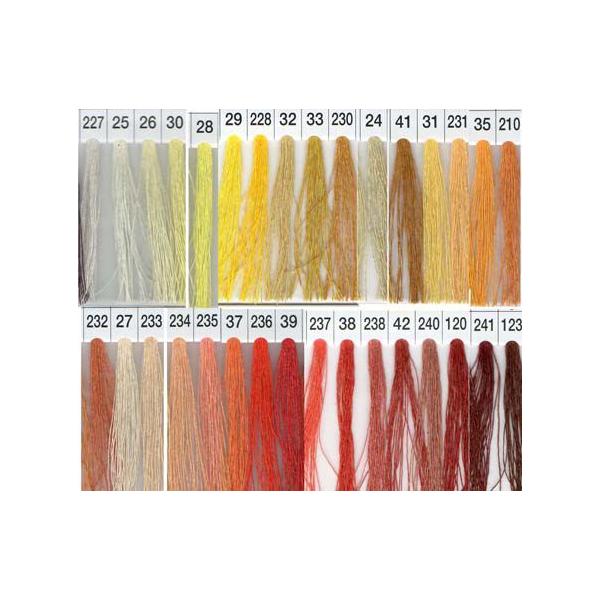 VbyXp D 50 CG[ n IWn D \[CO pb`[N nhCh