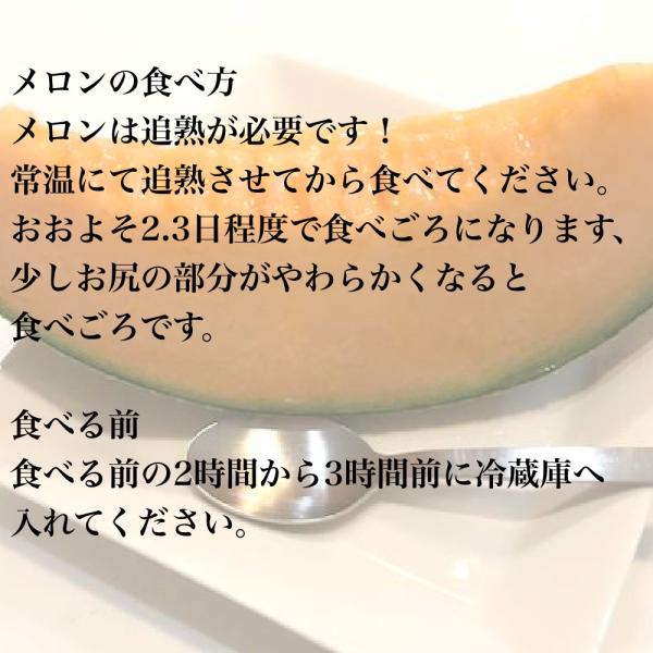 予約中 農薬不使用 無化学肥料栽培キングメロン8kg 送料無料 Www Friendlyneighborhoodhelp Com