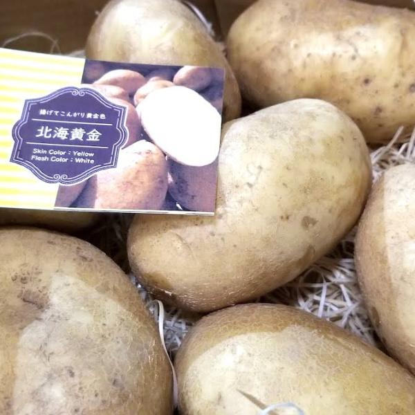 [Release date: October 15, 2017]【送料無料】北海道剣淵町産訳あり北海黄金５キロ【食用】北海道剣淵町の大地で育ったじゃがいもは、気候と土地がよく農作物はなんでも作ることができる所です。けんぶちVIVAマルシェで...