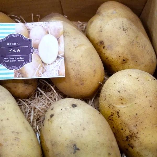 [Release date: October 15, 2017]【送料無料】北海道剣淵町産訳ありピルカ2キロ【食用】北海道剣淵町の大地で育ったじゃがいもは、気候と土地がよく農作物はなんでも作ることができる所です。けんぶちVIVAマルシェでは...