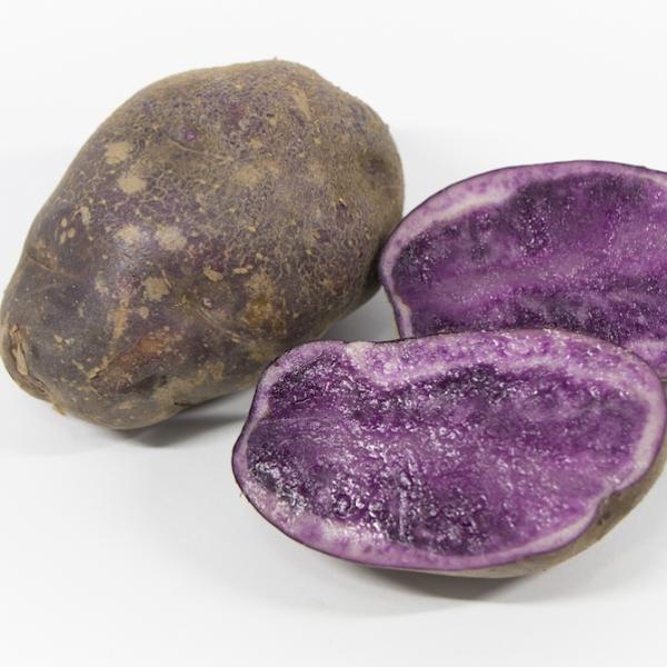 [Release date: October 15, 2017]【送料無料】北海道剣淵町産訳ありキタムラサキ10キロ【食用】北海道剣淵町の大地で育ったじゃがいもは、気候と土地がよく農作物はなんでも作ることができる所です。けんぶちVIVAマル...