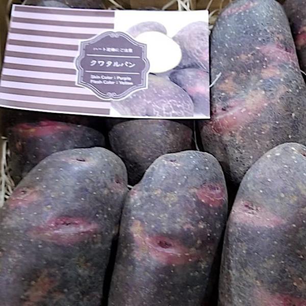 [Release date: October 15, 2017]【送料無料】北海道剣淵町産訳ありクワタルパン５キロ【食用】北海道剣淵町の大地で育ったじゃがいもは、気候と土地がよく農作物はなんでも作ることができる所です。けんぶちVIVAマルシ...