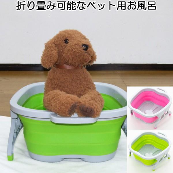 ybgpC ybgpoX^u ܂ RpNg y i