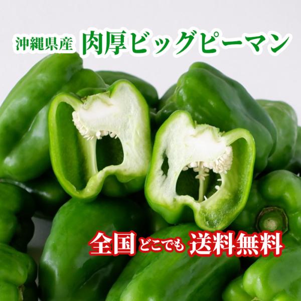 沖縄県産 肉厚ビッグピーマンを【全国送料無料】でお届けします。