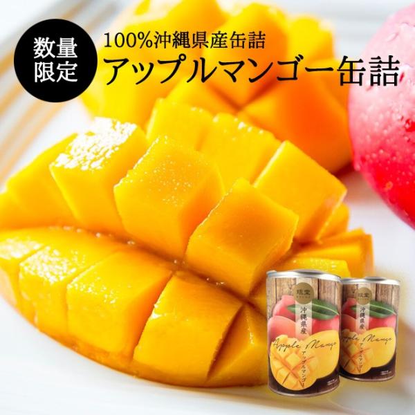 沖縄県産マンゴー缶詰