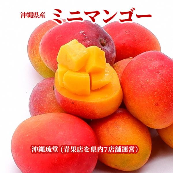 【送料無料・即発送可】沖縄県産ミニマンゴー500g　新鮮直送
