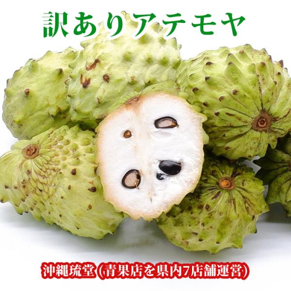 沖縄産・与論島産【訳あり】アテモヤを沖縄琉堂が販売します。