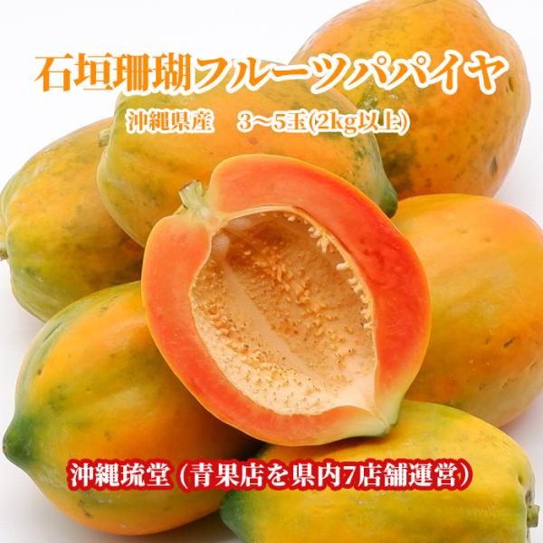 沖縄県産の石垣珊瑚フルーツパパイヤを沖縄琉堂が販売します。【送料無料・即出荷可】です。※当店では、転売を目的とした購入を禁止しております。