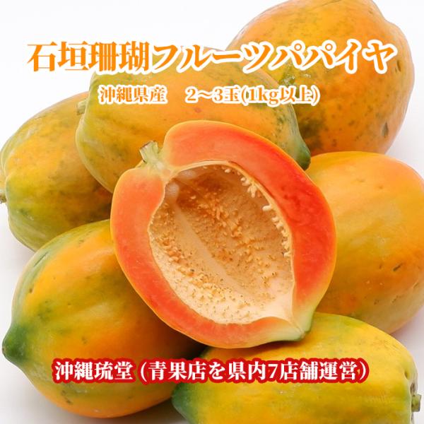 沖縄県産の石垣珊瑚フルーツパパイヤを沖縄琉堂が販売します。【送料無料・即出荷可】です。※当店では、転売を目的とした購入を禁止しております。