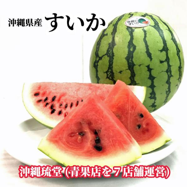 【全国送料無料】沖縄県産スイカ2玉(6.4kg以上)沖縄県産スイカは日本一早いスイカ出荷産地であり、シャキとした甘さ、ギッシリ詰まった実、そして平均糖度11度以上という特徴があります。スイカの保存方法は丸ごとの場合、直射日光を避けられる、風...