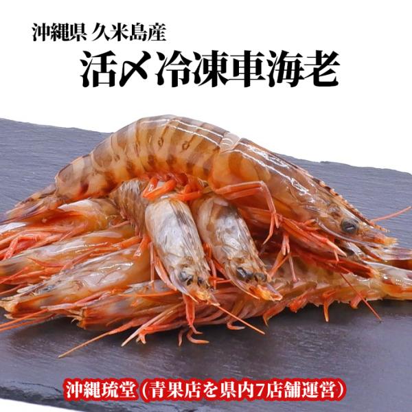 【全国送料無料】沖縄県久米島産 真空活〆冷凍車海老 250g化粧箱 1箱(10〜14尾)