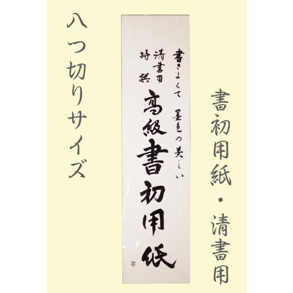 p@p@I@ⳁ@y c؃TCY z //  p5pbN(100)