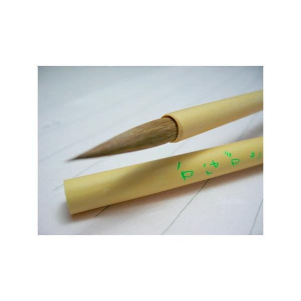 M@וM@p@Ȃ(ꌖ)@y@zސz