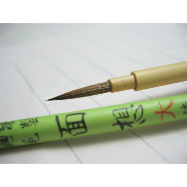 ʑzM/ʑM@ꌖʑz / C^`ʑz@@y@zސz