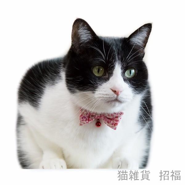猫 首輪 リボンとシュシュ 鈴 安全 Buyee Buyee Japanese Proxy Service Buy From Japan Bot Online