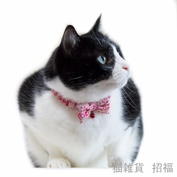 猫 首輪 リボンとシュシュ 鈴 安全 Buyee Buyee Japanese Proxy Service Buy From Japan Bot Online