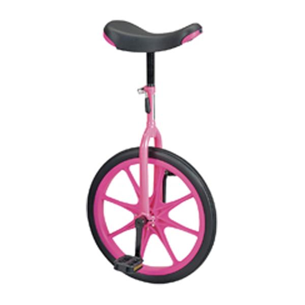 エバニュー Evernew 【メーカー直送品】 一輪車 ノーパンク 18 学校体育 学校体育用品 一輪車 ノーパンク 空気入れ不要 かんたん組立 18インチ  EKD137 P　空気入れ不要のノーパンクタイヤ採用一輪車。タイヤ内に挿入された...