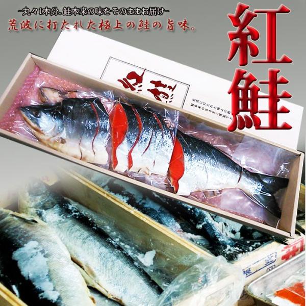 本ちゃん 紅鮭 紅しゃけ 紅シャケ 紅サケ 1尾 切り身 姿切り 年末年始配達可能 北海道産 極上 最高級品 天然物 Benisyake1 Buyee Buyee 日本の通販商品 オークションの代理入札 代理購入