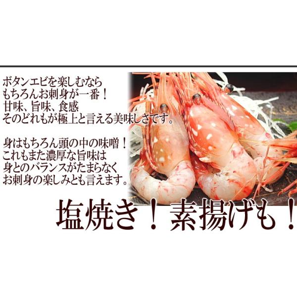 ボタン海老 お刺身用 牡丹えび ぼたんえび 海老 卵 ロシア産 船内凍結 500g 9 12尾前後 2 3人前 送料無料 セール Buyee Buyee Japanese Proxy Service Buy From Japan Bot Online