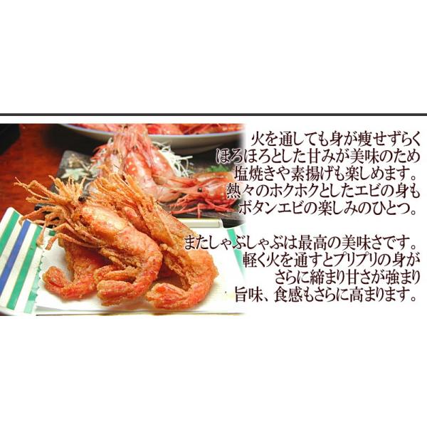 ボタン海老 お刺身用 牡丹えび ぼたんえび 海老 卵 ロシア産 船内凍結 500g 9 12尾前後 2 3人前 送料無料 セール Buyee Buyee Japanese Proxy Service Buy From Japan Bot Online