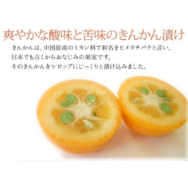 ドライフルーツ きんかん キンカン 金柑 送料無料 約400g 台湾産 メール便 Buyee Buyee Japanese Proxy Service Buy From Japan Bot Online