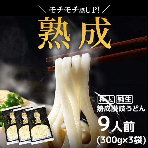 うどん 讃岐うどん 900g (300gx3袋) 送料無料 24時間熟成 本場讃岐純生 熟成うどん 9食 太麺 うどん お取り寄せ   jukuseiudon9