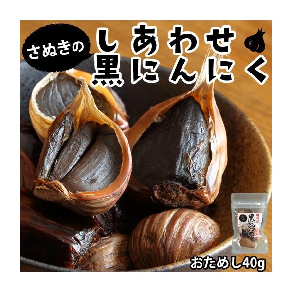 黒ニンニク 黒にんにく 送料無料 40g ポイント消化 香川県産 ポイント利用 お試し商品 サンプル kuroninniku40