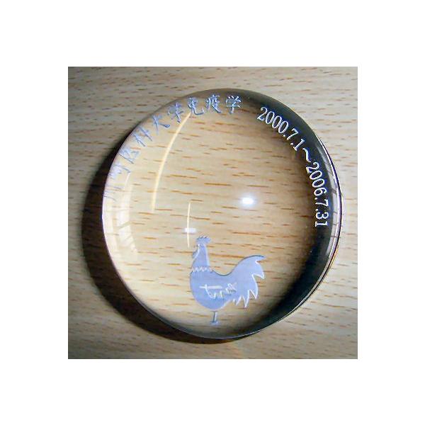 [y^ y[p[EFCg  IWi  Mtg 蕨y z