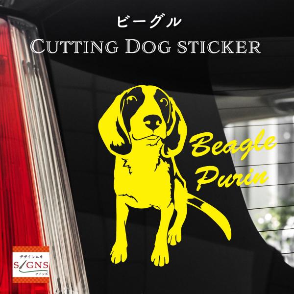 r[O XebJ[ Beagle IWifUC l[   V[ 3