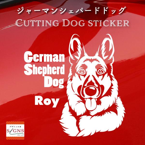 W[}VFp[hhbO XebJ[ W[}VFp[h IWifUC l[   V[ 5