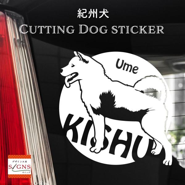 IB XebJ[ LVEP IWifUC l[   V[ 1