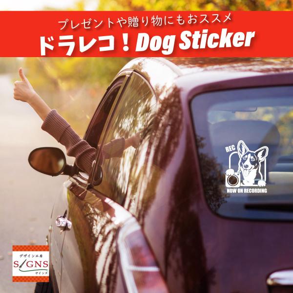 hCuR[_[ XebJ[ R[M[ hR^撆 1 ƂɂꂵhbOfUC