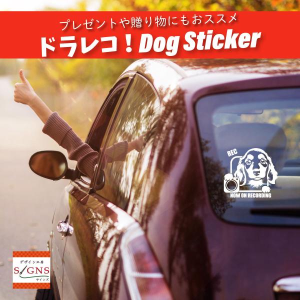 hCuR[_[ ^撆XebJ[ Jjw hRXebJ[ 2 ƂɂꂵhbOfUC