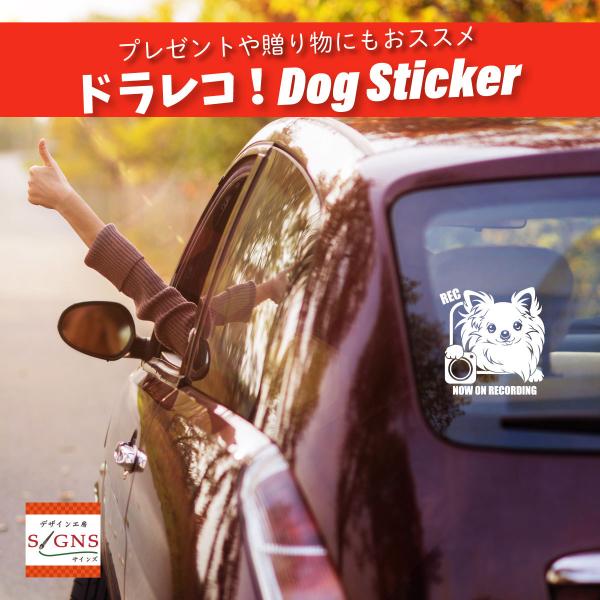 hCuR[_[ ^撆XebJ[ ` hRXebJ[ 4 ƂɂꂵhbOfUC