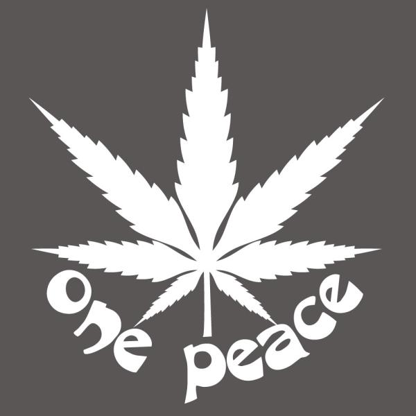 wv  XebJ[   hemp QG  J[XebJ[ V[ one peace s[X IWifUC 1