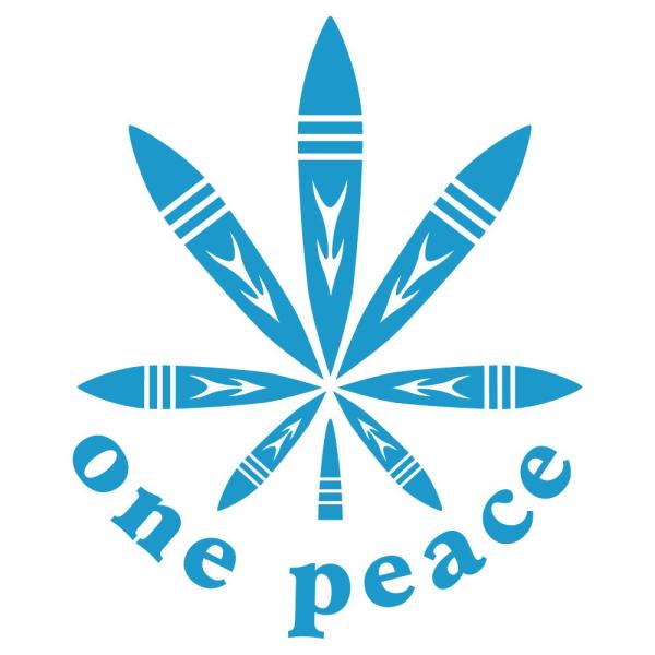 wv  XebJ[   hemp QG  J[XebJ[ V[ one peace s[X IWifUC 2